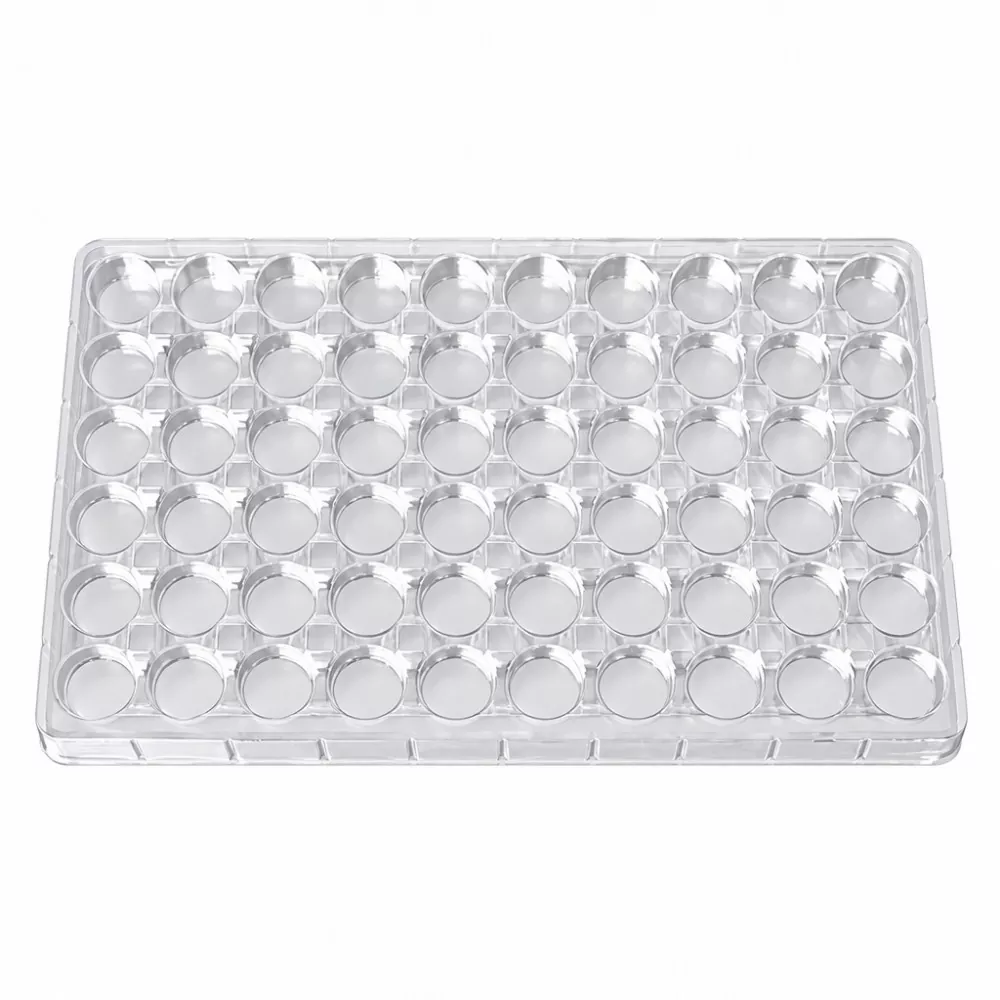 Khay đựng son môi cấp thực phẩm thân thiện với môi trường